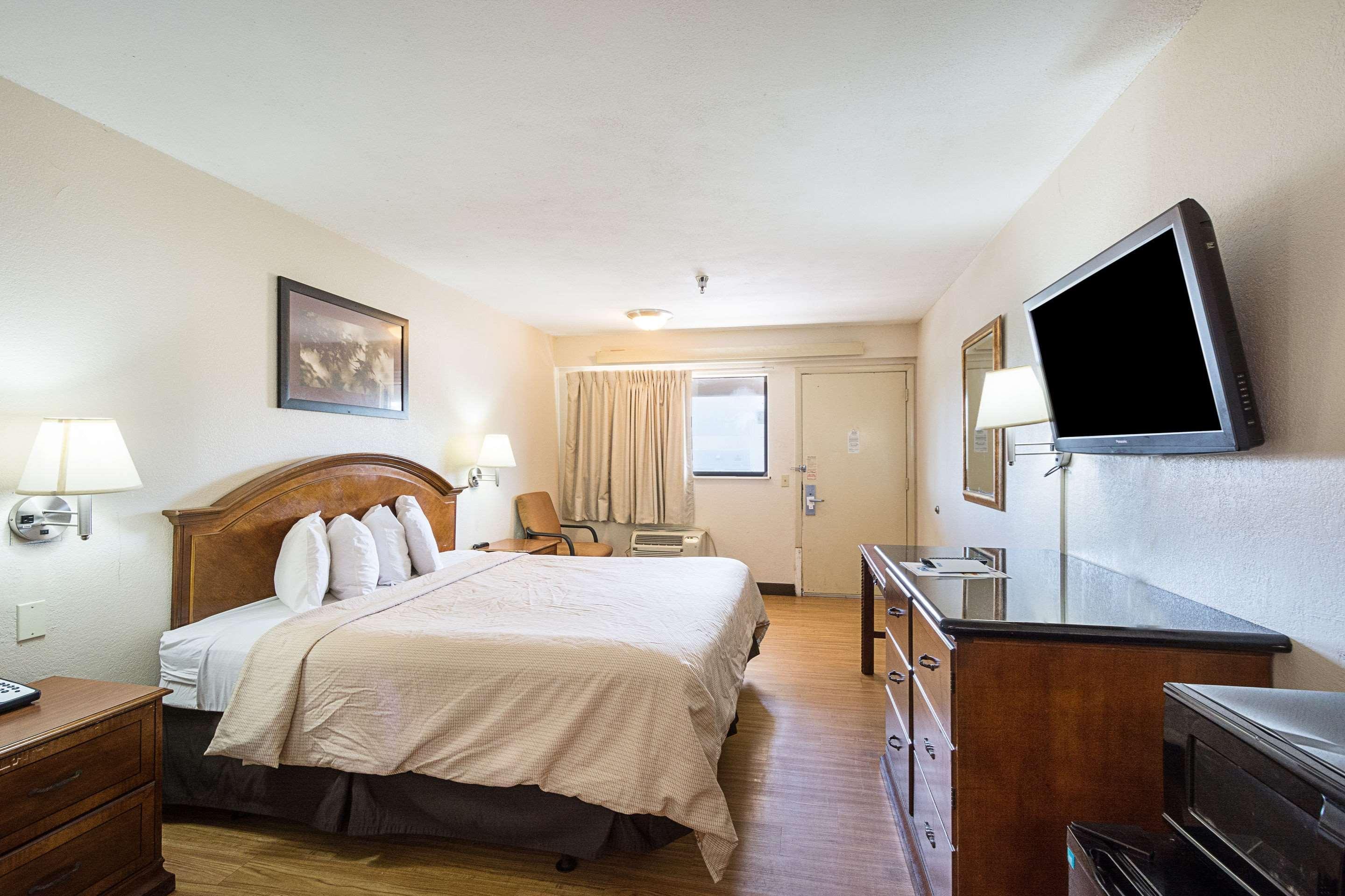 Bay Inn On Busch Tampa Bagian luar foto
