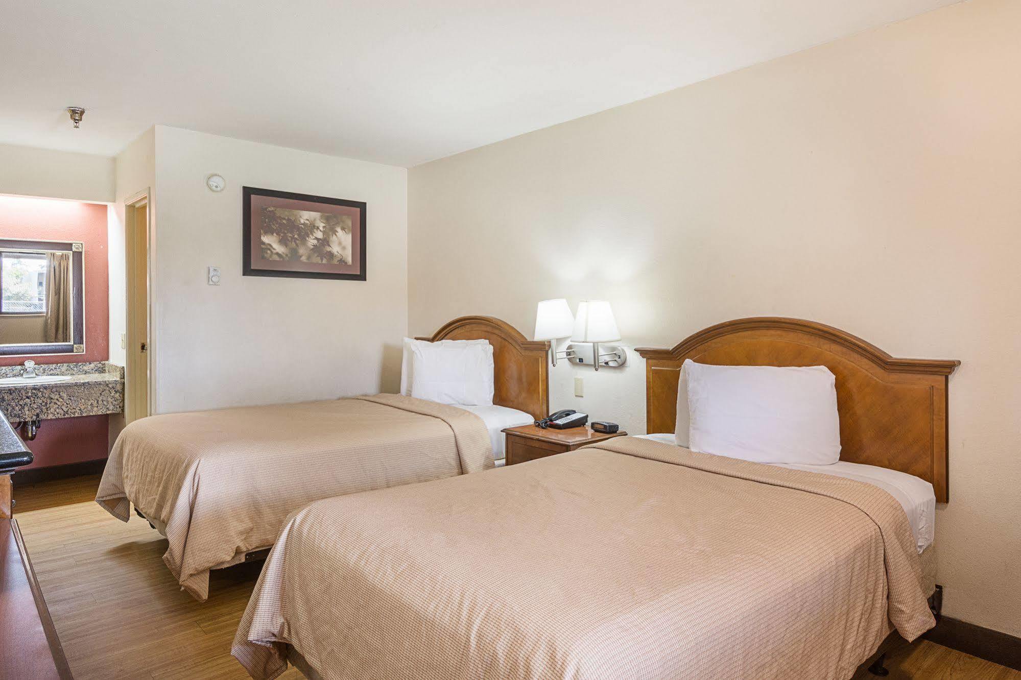 Bay Inn On Busch Tampa Bagian luar foto